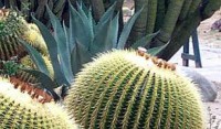 /album/fotogaleria-clima-y-ecosistemas/k-l-jpg/