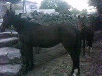 /album/fotogaleria-clima-y-ecosistemas/mkdmkm-jpg/