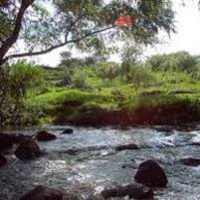 /album/fotogaleria-clima-y-ecosistemas/mkmk-jpg1/