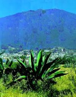 /album/fotogaleria-clima-y-ecosistemas/nn-jpg/
